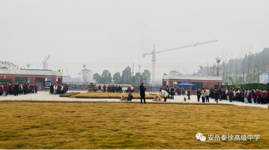 wps6C5A.tmp.jpg